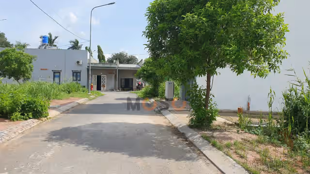 Bán đất DT826 Huyện Cần Đước, Long An – giá 3.2 tỷ Bán đất DT826 Huyện Cần Đước, Long An – giá 3.2 tỷ